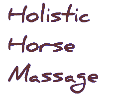 Holistic Horse Massage
